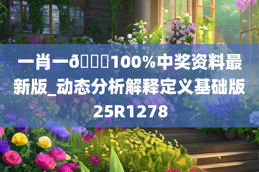 一肖一🐎100%中奖资料最新版_动态分析解释定义基础版25R1278