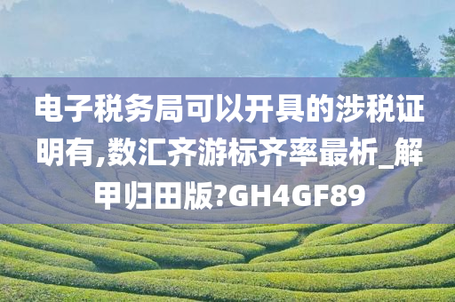 电子税务局可以开具的涉税证明有,数汇齐游标齐率最析_解甲归田版?GH4GF89