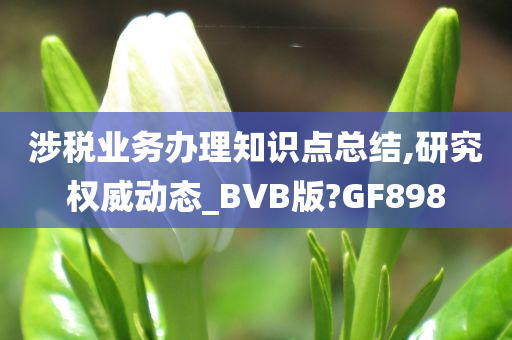 涉税业务办理知识点总结,研究权威动态_BVB版?GF898