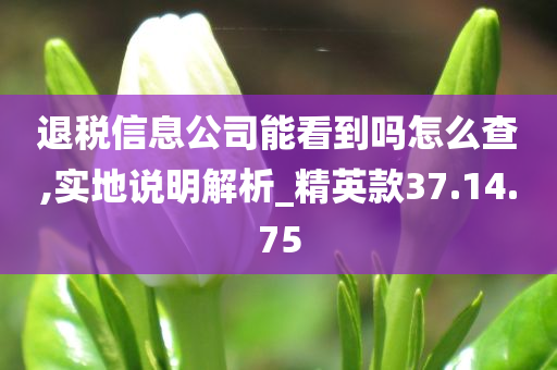 退税信息公司能看到吗怎么查,实地说明解析_精英款37.14.75