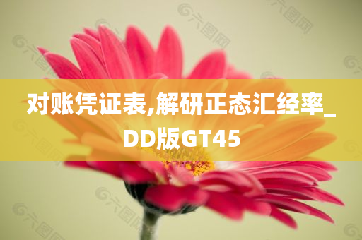 对账凭证表,解研正态汇经率_DD版GT45