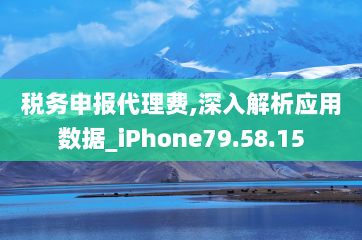 税务申报代理费,深入解析应用数据_iPhone79.58.15