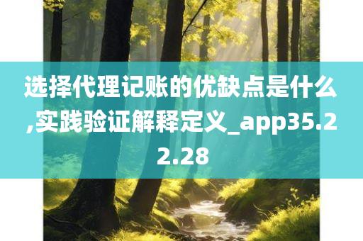 选择代理记账的优缺点是什么,实践验证解释定义_app35.22.28