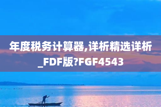 年度税务计算器,详析精选详析_FDF版?FGF4543