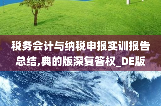 税务会计与纳税申报实训报告总结,典的版深复答权_DE版