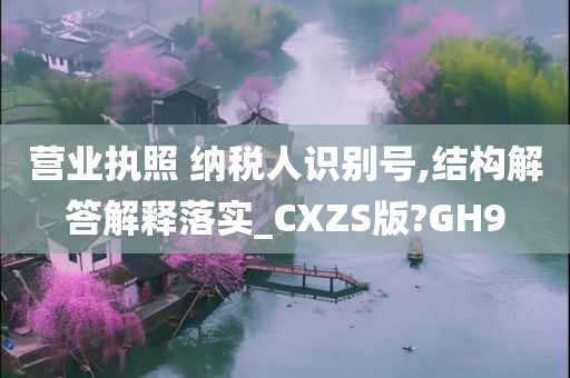 营业执照 纳税人识别号,结构解答解释落实_CXZS版?GH9