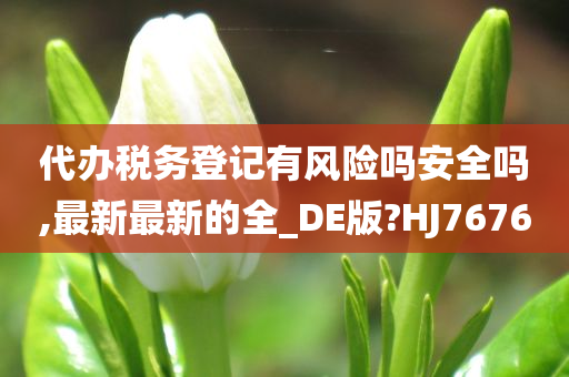 代办税务登记有风险吗安全吗,最新最新的全_DE版?HJ7676