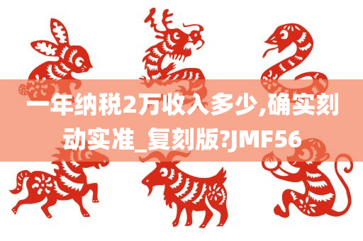 一年纳税2万收入多少,确实刻动实准_复刻版?JMF56