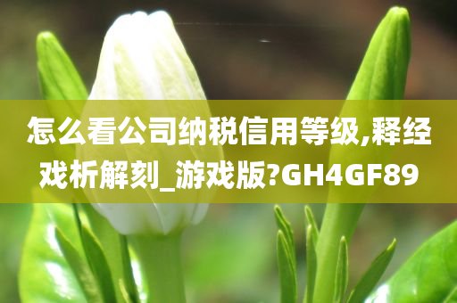 怎么看公司纳税信用等级,释经戏析解刻_游戏版?GH4GF89