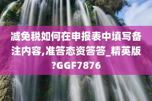 减免税如何在申报表中填写备注内容,准答态资答答_精英版?GGF7876