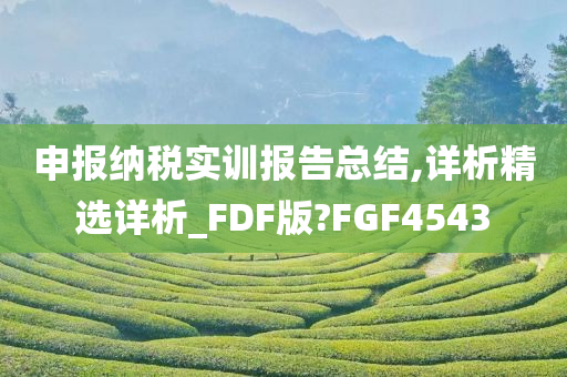 申报纳税实训报告总结,详析精选详析_FDF版?FGF4543