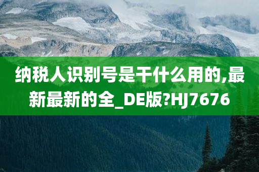 纳税人识别号是干什么用的,最新最新的全_DE版?HJ7676