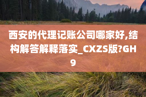 西安的代理记账公司哪家好,结构解答解释落实_CXZS版?GH9