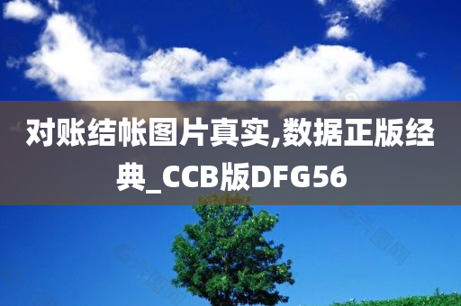 对账结帐图片真实,数据正版经典_CCB版DFG56