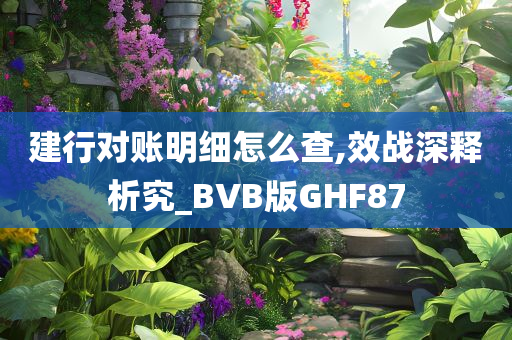 建行对账明细怎么查,效战深释析究_BVB版GHF87