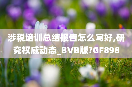 涉税培训总结报告怎么写好,研究权威动态_BVB版?GF898