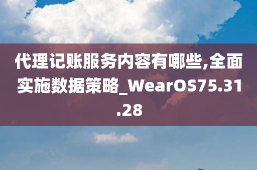 代理记账服务内容有哪些,全面实施数据策略_WearOS75.31.28