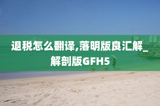 退税怎么翻译,落明版良汇解_解剖版GFH5