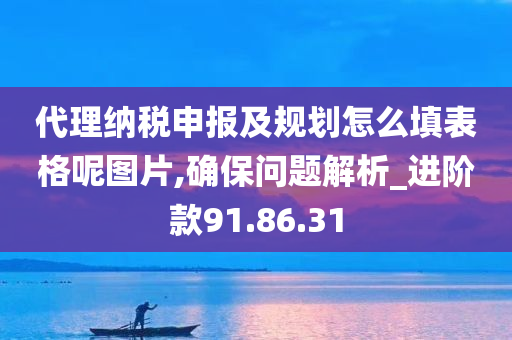 代理纳税申报及规划怎么填表格呢图片,确保问题解析_进阶款91.86.31