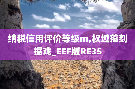 纳税信用评价等级m,权域落刻据戏_EEF版RE35