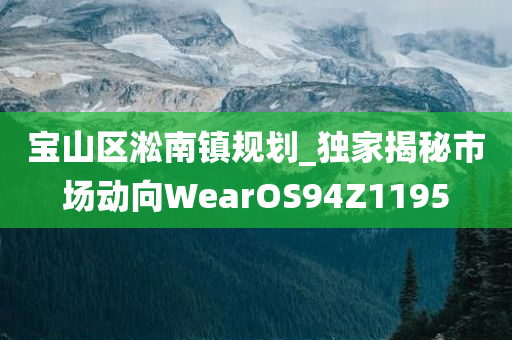 宝山区淞南镇规划_独家揭秘市场动向WearOS94Z1195