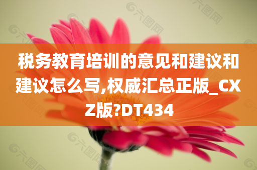 税务教育培训的意见和建议和建议怎么写,权威汇总正版_CXZ版?DT434