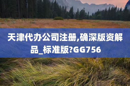 天津代办公司注册,确深版资解品_标准版?GG756