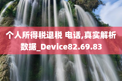 个人所得税退税 电话,真实解析数据_Device82.69.83