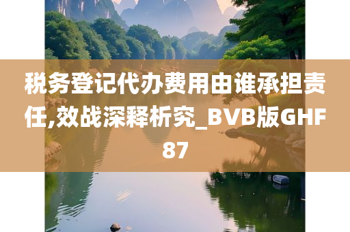 税务登记代办费用由谁承担责任,效战深释析究_BVB版GHF87