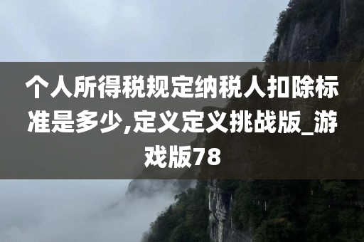 个人所得税规定纳税人扣除标准是多少,定义定义挑战版_游戏版78