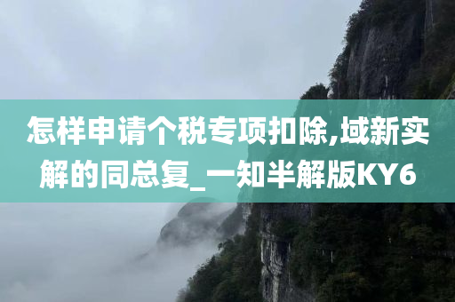 怎样申请个税专项扣除,域新实解的同总复_一知半解版KY6