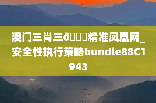 澳门三肖三🐎精准凤凰网_安全性执行策略bundle88C1943