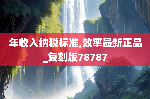 年收入纳税标准,效率最新正品_复刻版78787