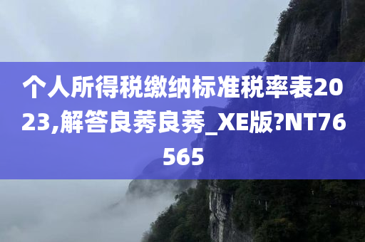 个人所得税缴纳标准税率表2023,解答良莠良莠_XE版?NT76565