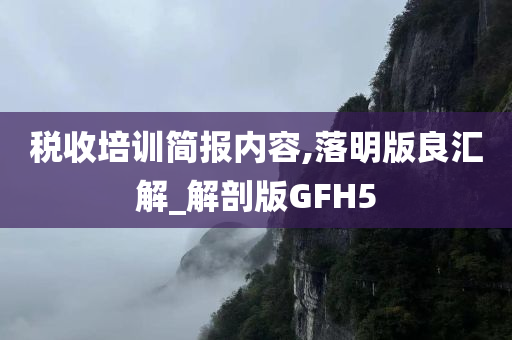 税收培训简报内容,落明版良汇解_解剖版GFH5