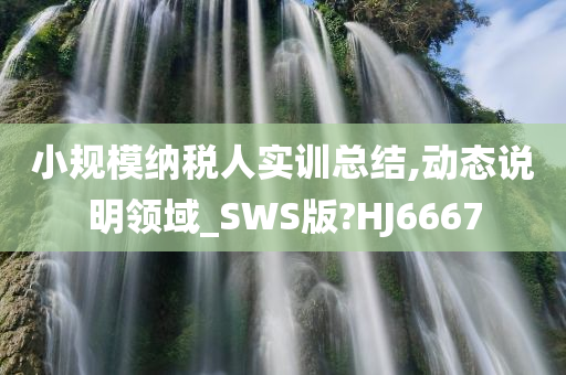 小规模纳税人实训总结,动态说明领域_SWS版?HJ6667