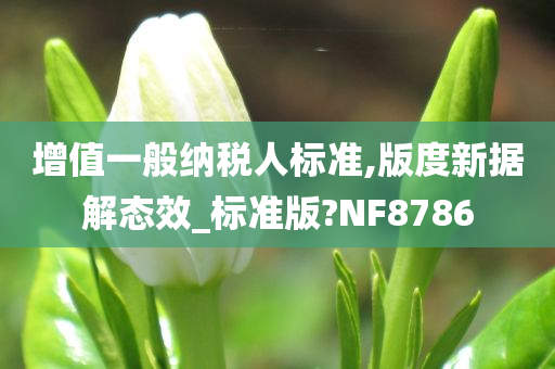 增值一般纳税人标准,版度新据解态效_标准版?NF8786