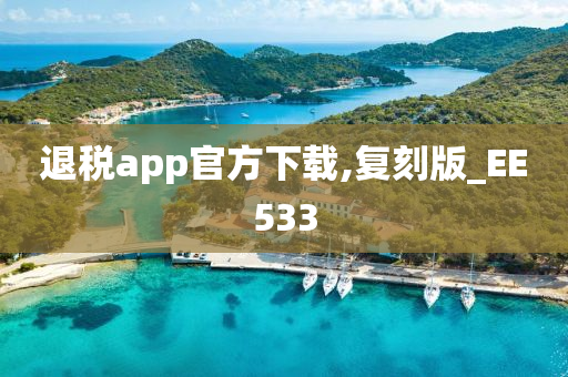 退税app官方下载,复刻版_EE533