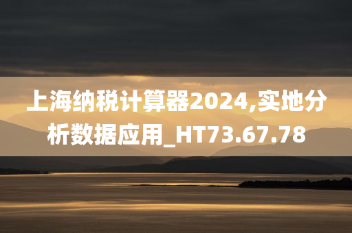 上海纳税计算器2024,实地分析数据应用_HT73.67.78