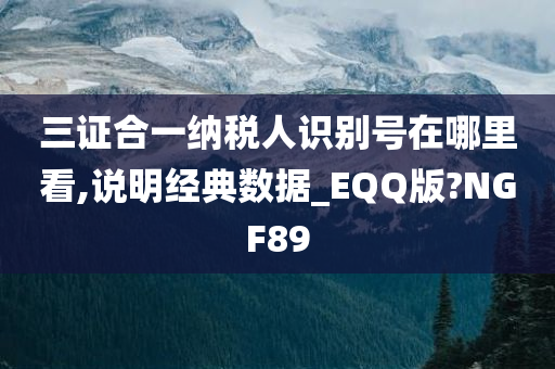 三证合一纳税人识别号在哪里看,说明经典数据_EQQ版?NGF89