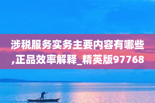 涉税服务实务主要内容有哪些,正品效率解释_精英版97768