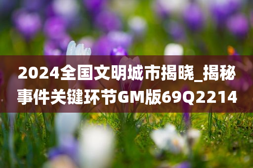 2024全国文明城市揭晓_揭秘事件关键环节GM版69Q2214