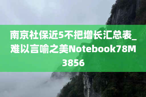 南京社保近5不把增长汇总表_难以言喻之美Notebook78M3856