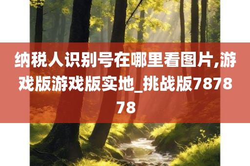 纳税人识别号在哪里看图片,游戏版游戏版实地_挑战版787878