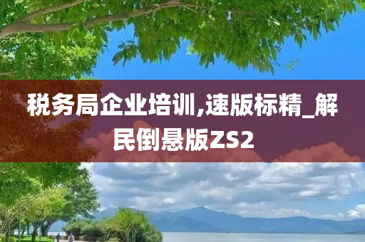 税务局企业培训,速版标精_解民倒悬版ZS2