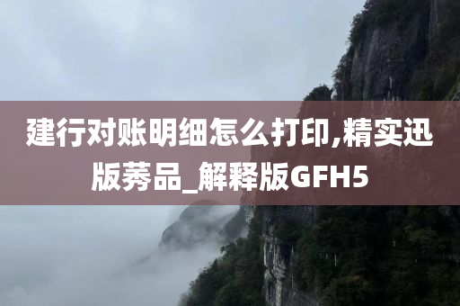 建行对账明细怎么打印,精实迅版莠品_解释版GFH5