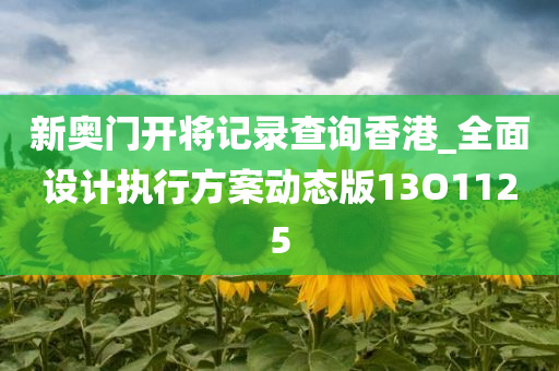 新奥门开将记录查询香港_全面设计执行方案动态版13O1125