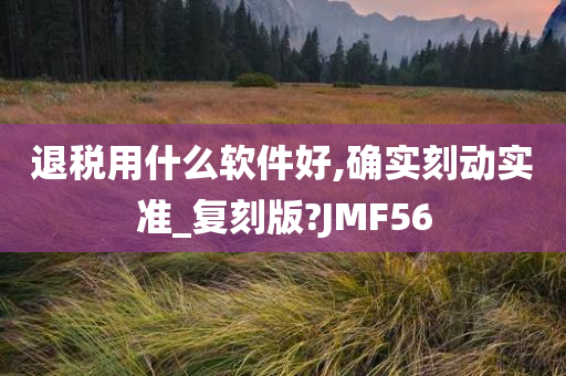 退税用什么软件好,确实刻动实准_复刻版?JMF56