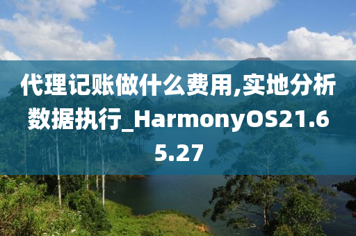 代理记账做什么费用,实地分析数据执行_HarmonyOS21.65.27