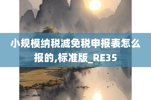 小规模纳税减免税申报表怎么报的,标准版_RE35